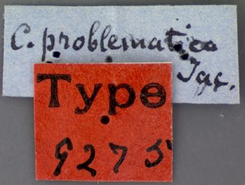 Media type: image; Entomology 9275   Aspect: labels